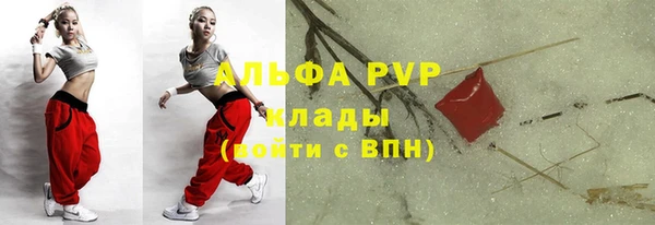 apvp Белокуриха