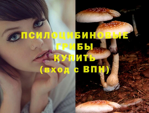 apvp Белокуриха