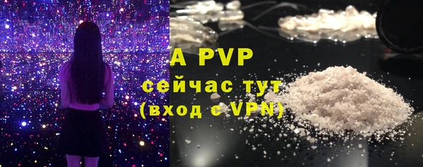 ALPHA PVP Беломорск